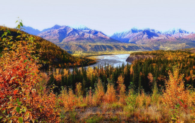 Обои картинки фото природа, реки, озера, деревья