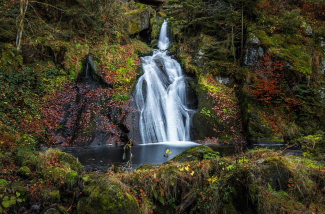 Обои картинки фото природа, водопады, водопад, река, лес