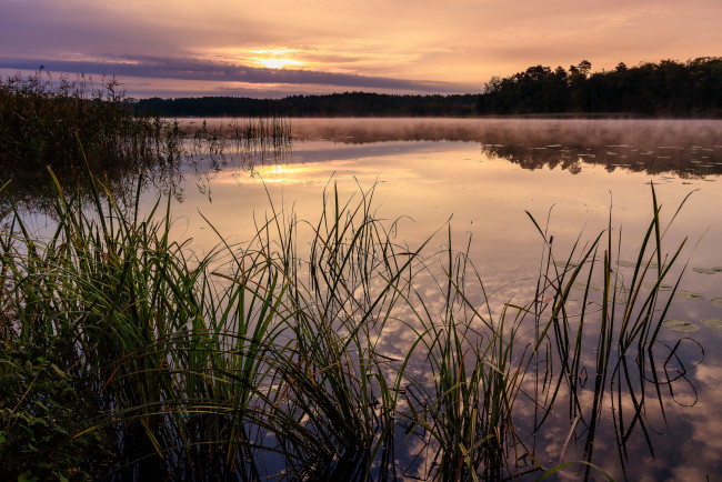 Обои картинки фото природа, реки, озера, деревья