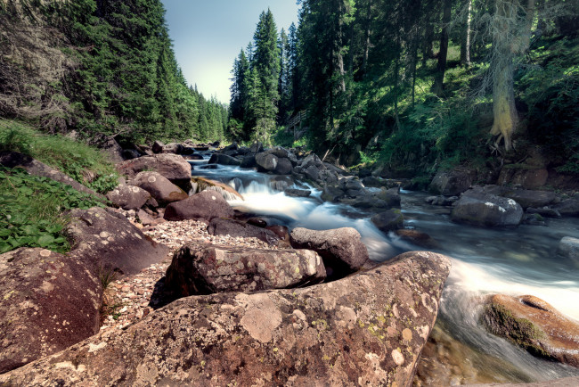 Обои картинки фото природа, реки, озера, деревья