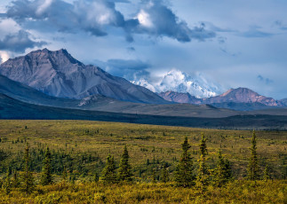 Картинка природа пейзажи простор