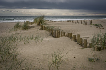 Картинка природа побережье простор