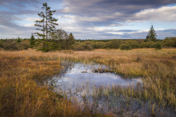 Картинка природа реки озера простор