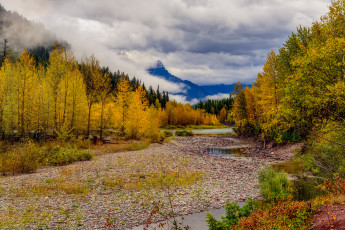 Картинка природа реки озера простор