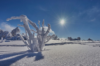 Картинка природа зима простор