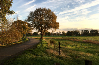 Картинка природа дороги простор