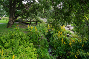 Картинка природа реки озера простор