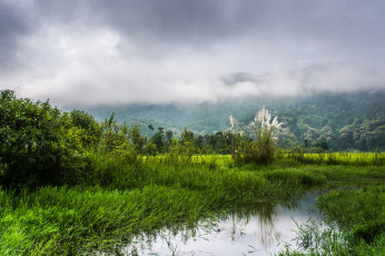 Картинка природа реки озера простор