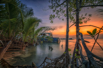 Картинка природа тропики простор