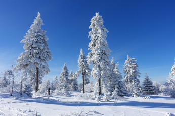 Картинка природа зима простор