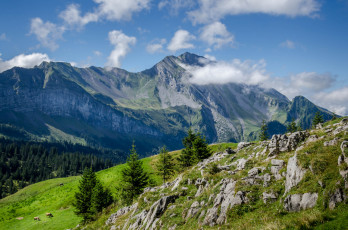 Картинка природа горы простор