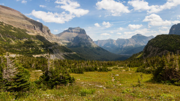 Картинка природа пейзажи простор