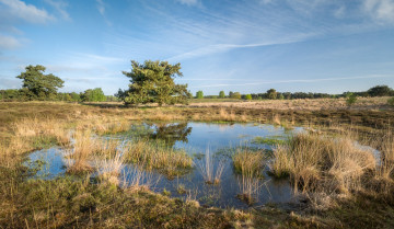 Картинка природа реки озера простор