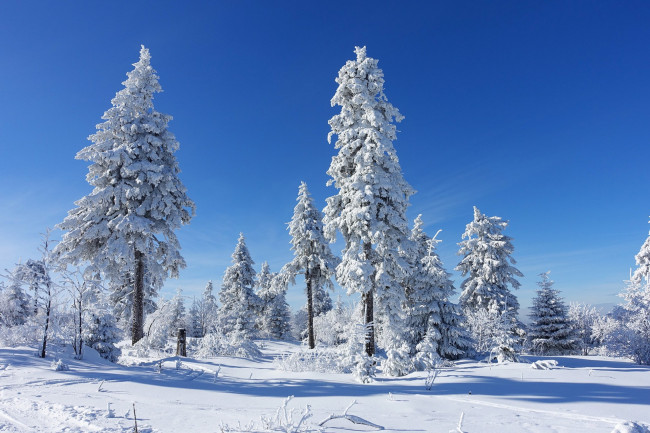 Обои картинки фото природа, зима, простор