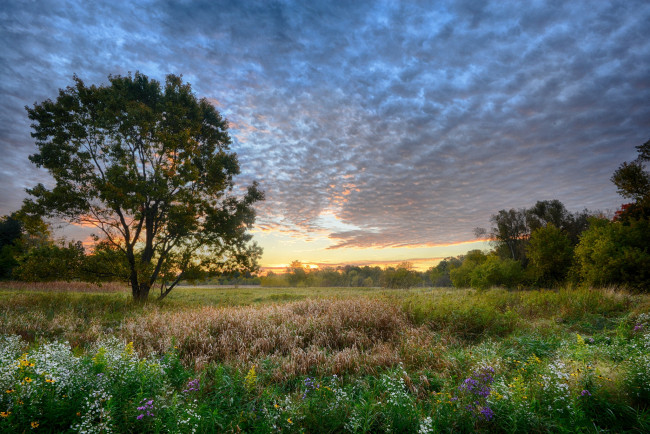 Обои картинки фото природа, пейзажи, простор