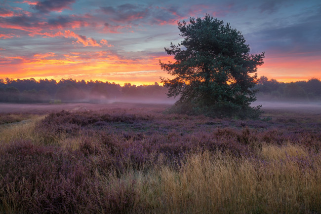 Обои картинки фото природа, пейзажи, простор