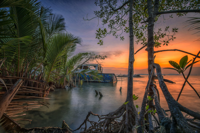 Обои картинки фото природа, тропики, простор