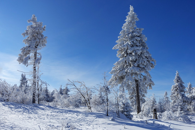 Обои картинки фото природа, зима, простор