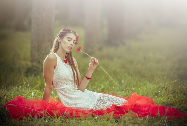 Обои картинки фото девушки, -unsort , брюнетки, темноволосые, цветы, герберы, ткань, лес, трава, поляна