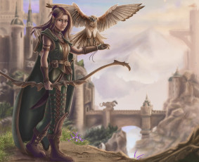 Картинка фэнтези эльфы девушка фон взгляд униформа сокол лук