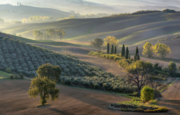 Картинка природа пейзажи простор