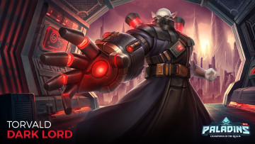 Картинка видео+игры paladins