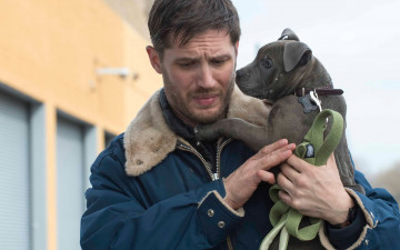 Картинка кино+фильмы the+drop том харди