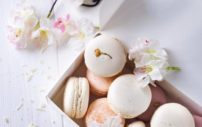 Обои картинки фото еда, макаруны, лакомство, печенье, ассорти