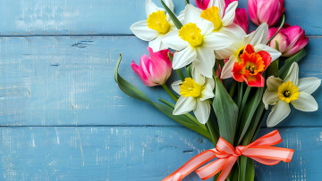 обоя цветы, букеты,  композиции, нарциссы, тюльпаны, букет, лента, бант