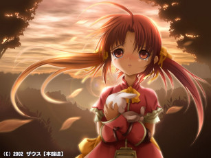 Картинка аниме *unknown другое