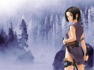 Картинка аниме weapon blood technology