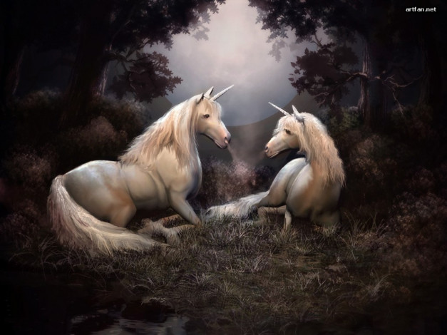 Обои картинки фото фэнтези, единороги