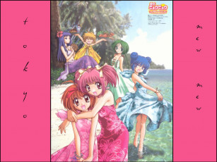 обоя аниме, tokyo, mew