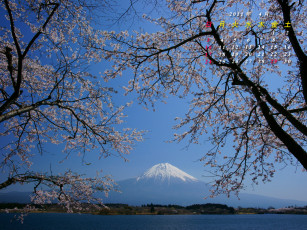 Картинка календари природа