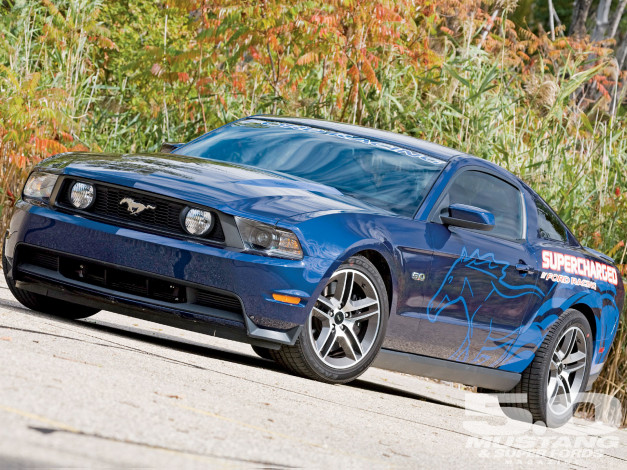 Обои картинки фото автомобили, mustang