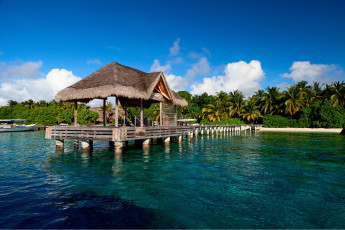 Картинка разное сооружения постройки пальма