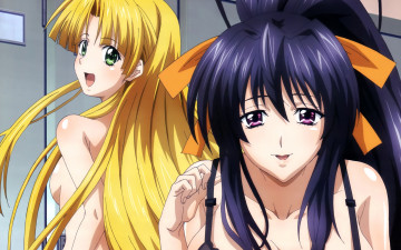 Картинка аниме highschool dxd