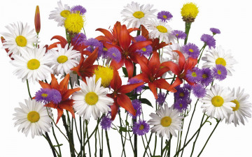 Картинка цветы букеты композиции красные белые