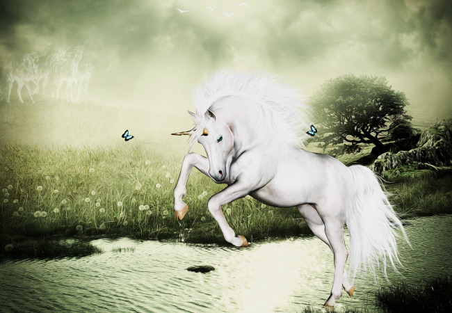 Обои картинки фото фэнтези, фотоарт, вода, рог