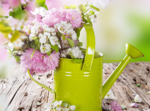 Картинка цветы букеты +композиции яблоня весна лейка цветение сакура вишня