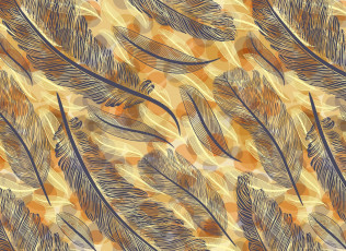 Картинка векторная+графика другое+ other перья перо