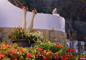 Картинка разное садовые+и+парковые+скульптуры женские ноги цветы сад чулки-сетка каблуки туфли