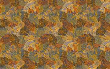 Картинка векторная+графика природа+ nature осень листья текстуры