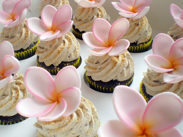 Обои картинки фото еда, пирожные,  кексы,  печенье, капкейки