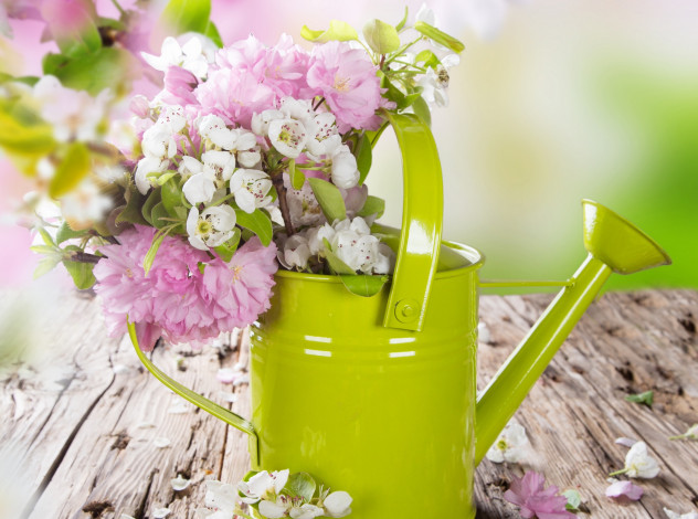 Обои картинки фото цветы, букеты,  композиции, яблоня, весна, лейка, цветение, сакура, вишня