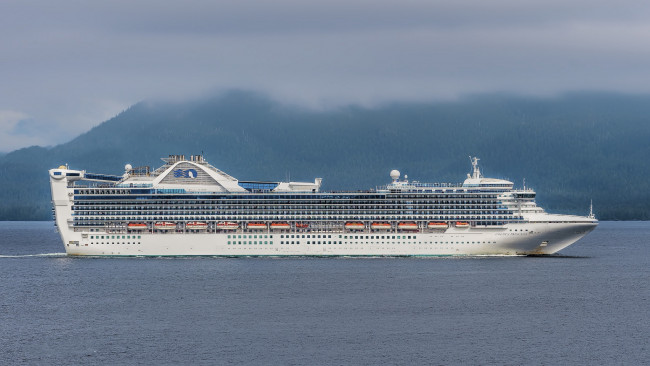 Обои картинки фото golden princess, корабли, лайнеры, лайнер, круизный