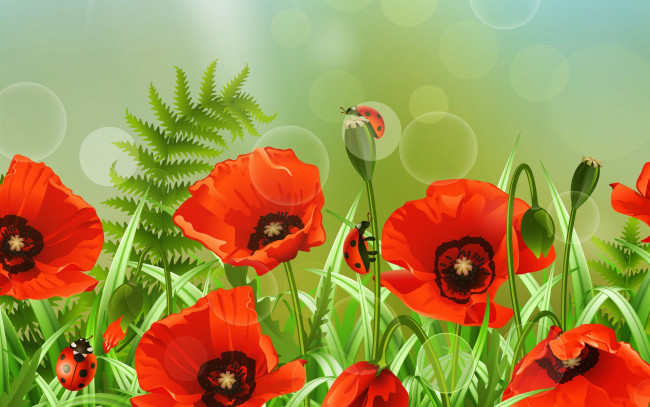 Обои картинки фото векторная графика, цветы , flowers, цветок, лето, поле, божья, коровка, маки