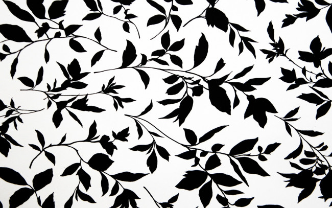 Обои картинки фото векторная графика, природа , nature, фон, растение