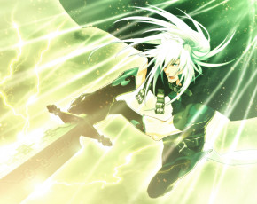 Картинка аниме lamento рай рибика воин меч плащ кот