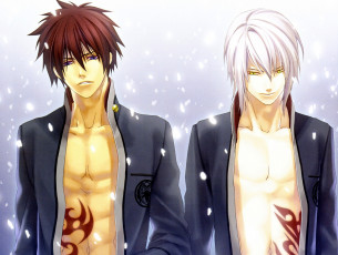 обоя аниме, hiiro no kakera, парни